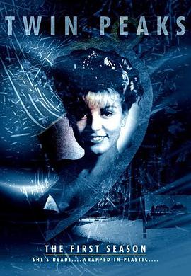 双峰第一季第02集