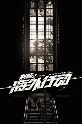 刑警之海外行动第02集