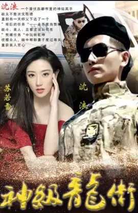 神级龙卫41-60集