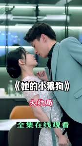 她的小狼狗21-40集