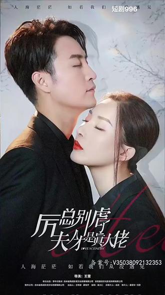 厉总别虐了，夫人才是真大佬41-60集