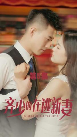 齐少的在逃新妻1-20集