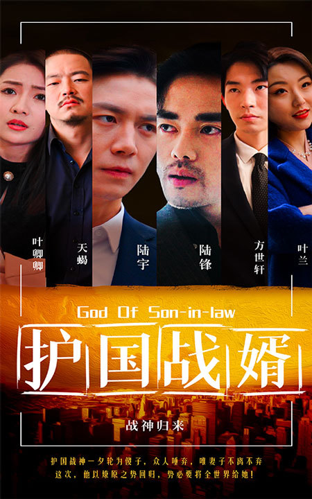 护国战婿21-40集