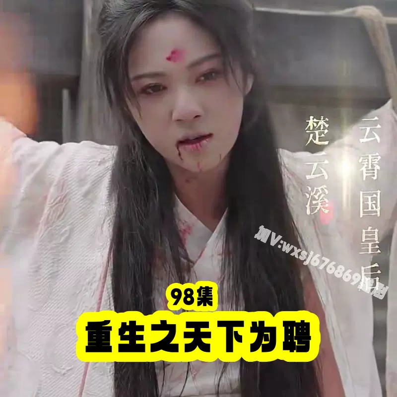 重生之天下為聘21-30集