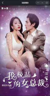 我的富豪美女总裁全集(大结局)