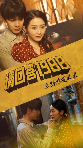 请回答1988之野鸡变凤凰(全集)