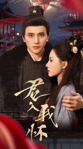 君入我怀全集(大结局)