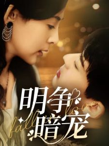 明争暗宠全集(大结局)