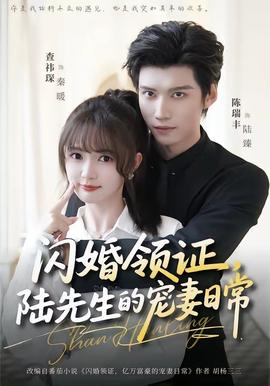 闪婚领证，陆先生的宠妻日常(全集)
